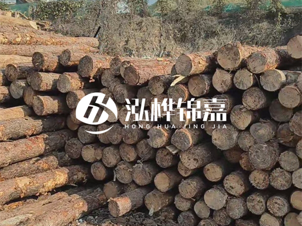 落葉松木材的主要產(chǎn)地在哪里？為什么比其他松木更耐腐蝕？