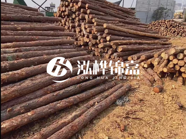 河道木樁施工遇到淤泥怎么辦？打多深才能防沖刷？