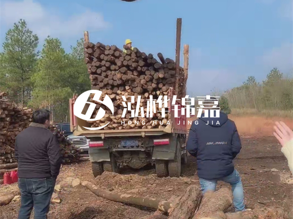 防腐木樁價格比普通木樁貴多少？防腐木樁有哪些處理方式？