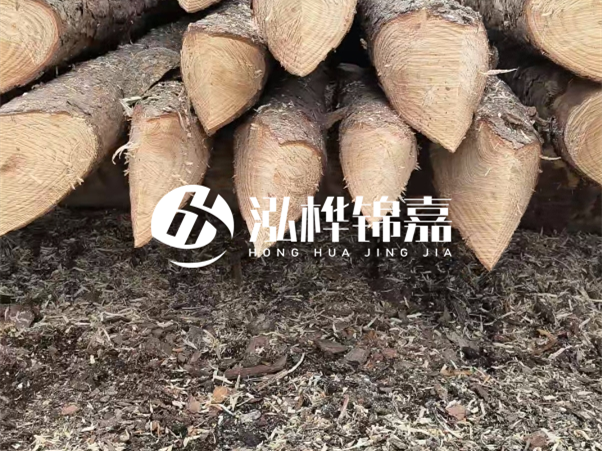 打樁木樁與鋼樁相比有哪些優(yōu)缺點？如何進行后期維護？
